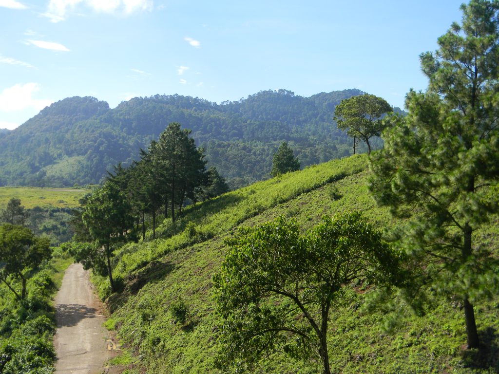 Paisaje natural de Sauces de El Pulté con colinas verdes, árboles y senderos, entorno exclusivo que ofrece una vida en equilibrio.